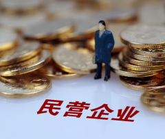 央地集中发力 加码支持民营企业发展