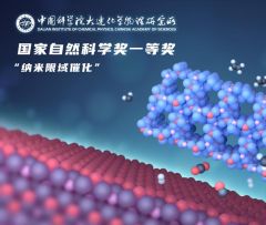 科学家构建“纳米限域催化”概念获国家自然科学奖一等奖