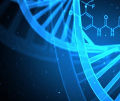 我国科研人员在DNA存储领域取得新突破