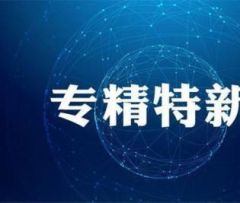 吉林省人民政府关于实施  “专精特新”中小企业高质量发展  梯度培育工程的意见