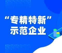 “专精特新”企业怎样培育?5G今年怎么推?