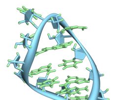 分子机器的“秘密武器”曝光